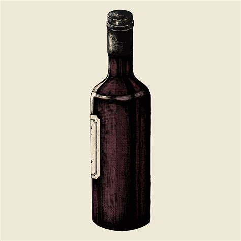 Hand Drawn Wine Bottle Isolated Download Free Vectors Clipart
