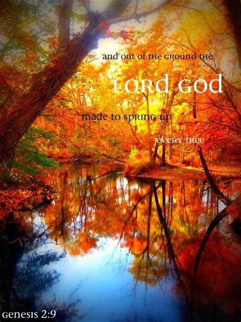 10 Images About Autumn Christs Drawings On Pinterest Scripture
