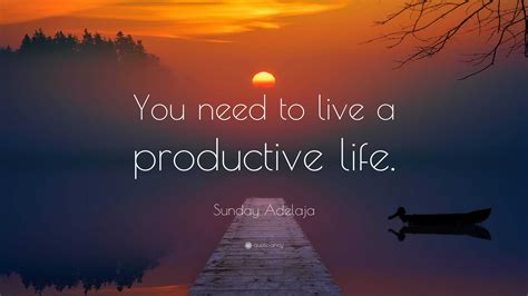 Sunday Adelaja Quote You Need To Live A Productive Life