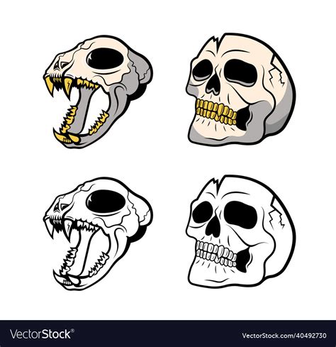 Skulls Royalty Free Vector Image Vectorstock
