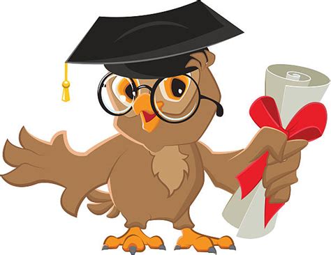 Best Owl With Graduation Cap Silhouettes Illustrations Royalty Free