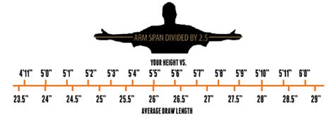 How To Measure Arrow Length For A Compound Bow Reverasite