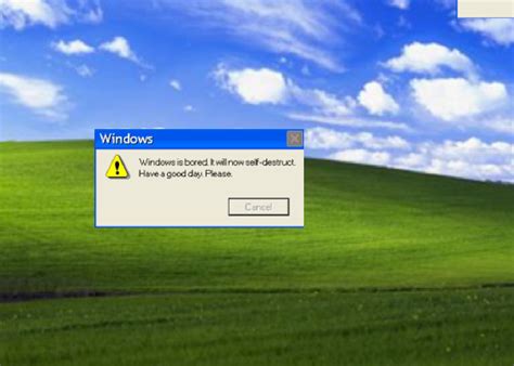 Windows Xp Error Simulator 1 Tynker