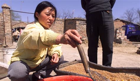 Why Affluent Chinese Are Mad For Millet And The Ancient Grains Long