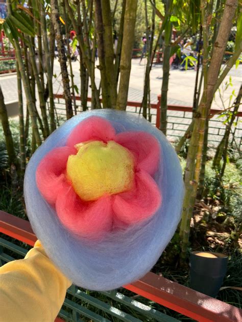 Cotton Candy From The China Pavilion Its Almost Too Pretty To Eat