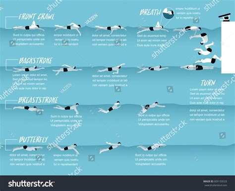 Illustration Vector Info Graphic Of Swimming Strokes Style Swimming Strokes Info Graphic Design