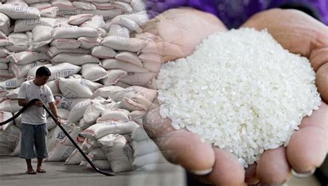 Nfa Abandons Planned Rice Importation Inquirer News