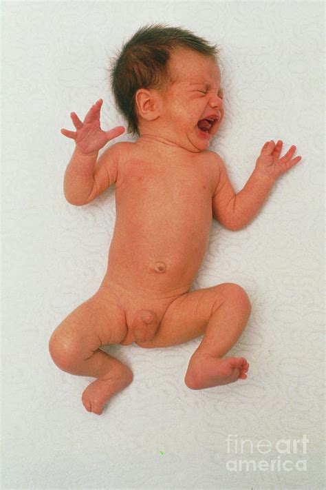 Newborn Baby Boy Picture
