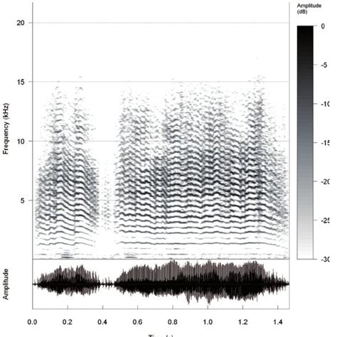 Two Successive Hisses Produced During Hornet Attacks Spectrogram