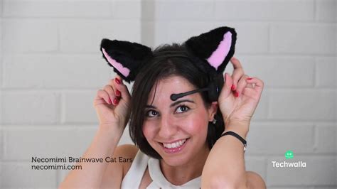 Life With Cat Ears That Read Your Brainwaves Youtube