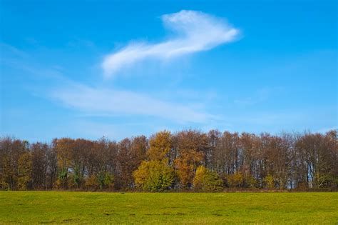 무료 이미지 경치 나무 잔디 수평선 산 구름 하늘 들 목초지 대초원 아침 언덕 분위기 빨간 색깔