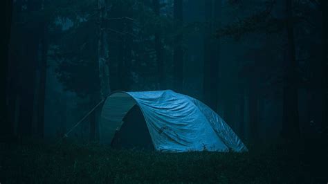 Hd Wallpaper Tent Camping Forest Fog Nature