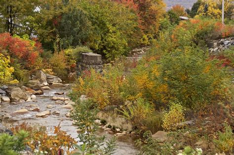 Free Images Landscape Tree Leaf Flower Pond Stream Autumn