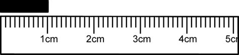 Hickoryeebl Centimeters To Millimeters Ruler