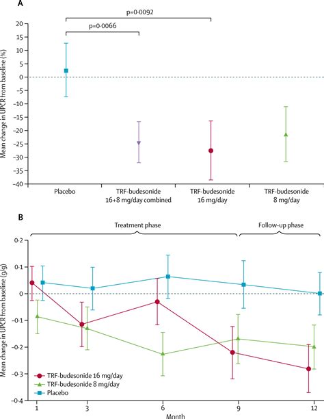 Targeted Release Budesonide Versus Placebo In Patients With Iga Nephropathy Nefigan A Double