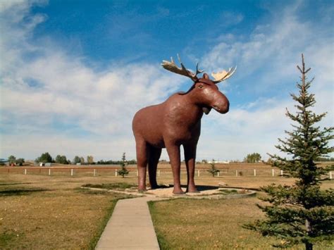 Moose Jaw Is No Longer Home To The Worlds Tallest Moose Statue