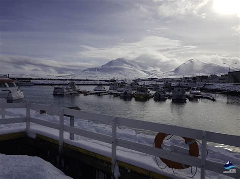 Dalvik In The North Of Iceland Arctic Adventures