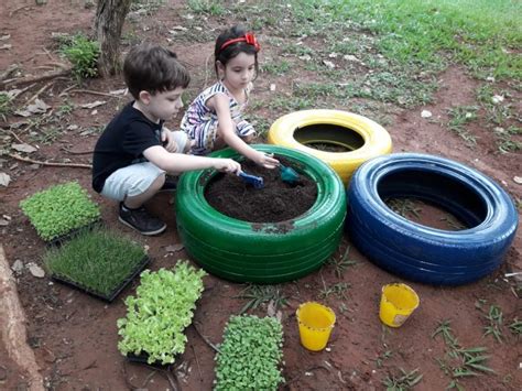 Projeto Plantar Cuidar E Colher Educ Infantil