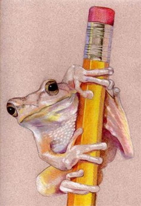 Pin By Brenda Blodgett On All Things Froggy Color Pencil Drawing