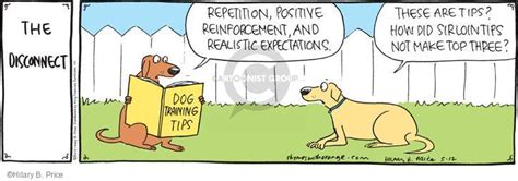 The Positive Reinforcement Comic Strips The Comic Strips