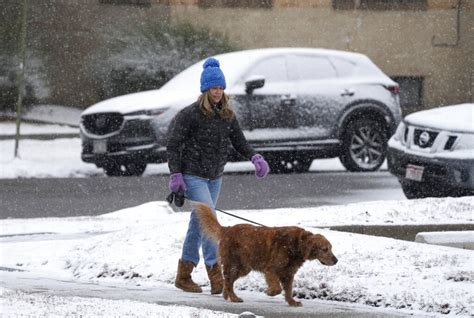 With Super Cold Weather How To Keep Your Furry Friend Safe And Healthy