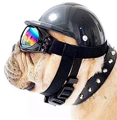 Small Dog Helmet Protect Your Dog In A Bicycle Pet Carrier Infobarrel