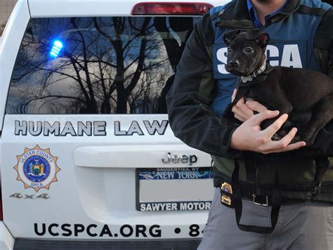 Sponsor Our Pets – Ulster County SPCA