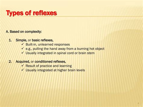 Ppt Spinal Cord Reflexes Powerpoint Presentation Free Download Id