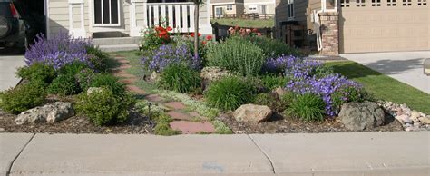 Small Front Yard Xeriscape Ideas Many Coons