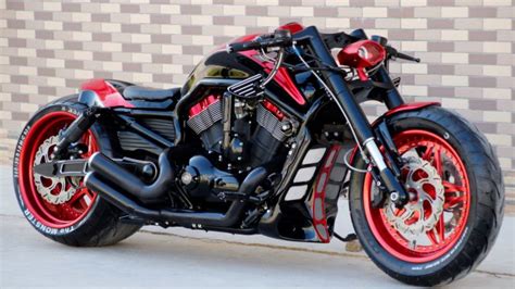 Sale Harley Davidson V Rod Muscle Custom In Stock