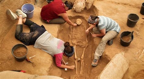 Descubrimiento Arqueológico En Ashkelon Israel Podría Resolver El