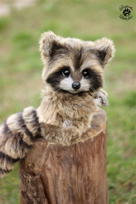 Raccoon Baby Stuffed Realistic Artist Toy Stuffed Ooak Etsy