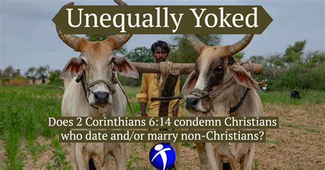 Unequally Yoked Does 2 Corinthians 614 Condemn Christians Who Date Andor Marry Non Christians