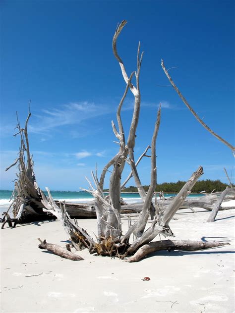 Sarasota, FL Old Florida, Florida Vacation, Vacation Spots, Longboat