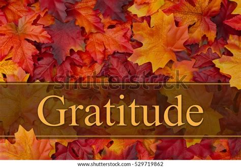 Being Grateful Message Some Fall Leaves Stock Photo Edit Now 529719862