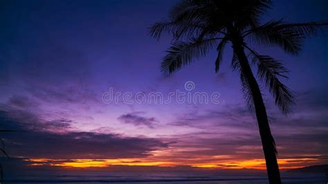 Beautiful Sunset Or Sunrise With Silhouette Palm Tree On Tropical