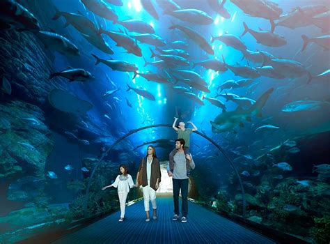 Experience Dubai In A Different Light This Summer With My Emirates Pass