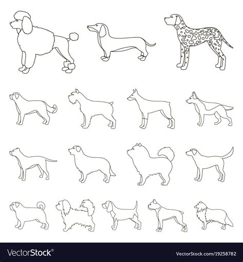 Dog Breeds Outline Icons In Set Collection Vector Image