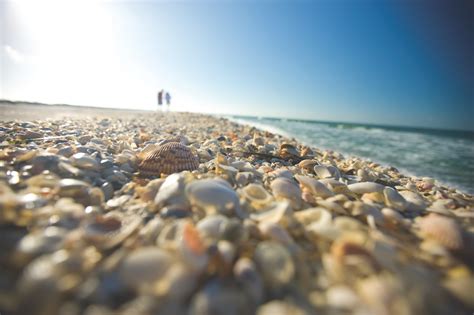 9 Experiences To Have On The Beaches Of Fort Myers And Sanibel