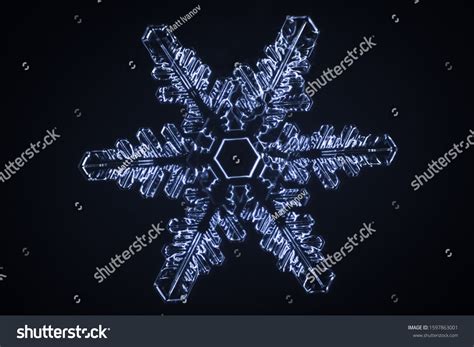 Real Snowflake Microscope Shot Stock Photo 1597863001 Shutterstock
