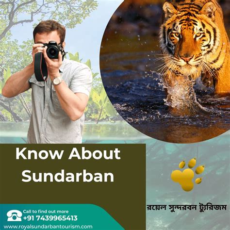 Great Knowledge Know About Sundarban Royal Sundarban Tourism 2024