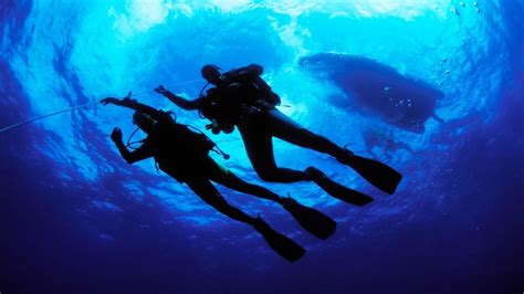 Scuba Diving Wallpapers 58 Images