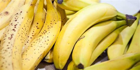 Organic Bananas Vs Regular Bananas Which Is Better