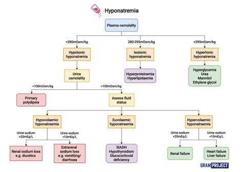 Overview Guide To Looking For Causes To Hyponatremia Grepmed
