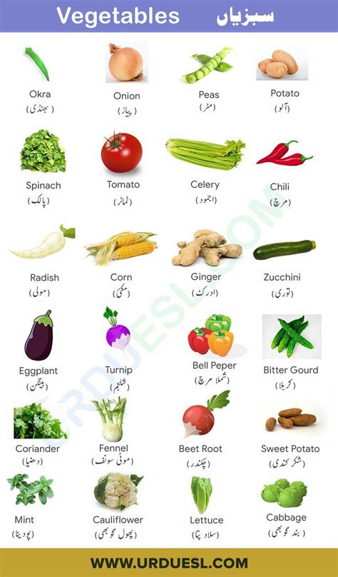 List Of Vegetables Useful Names Of Vegetables With The Picture