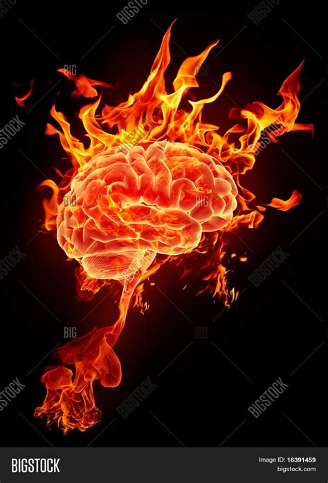 Burning Brain Flames Image And Photo Free Trial Bigstock