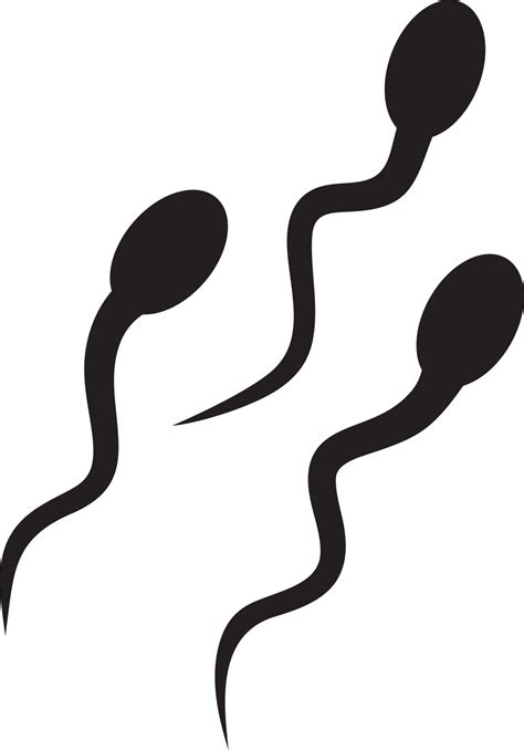 Sperm Cells Silhouette 4851322 Vector Art At Vecteezy