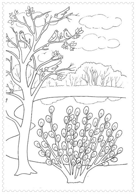 Primavara Planse De Colorat Tree Coloring Page Coloring Pages Hot Sex