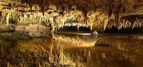 Isotopes of a particular element have the same number of protons in their nucleus while the lighter isotopes 12c and 13c are stable, the heaviest isotope 14c (radiocarbon) is radioactive. Chinese Cave Stalagmites Provide the Ultimate Means to ...