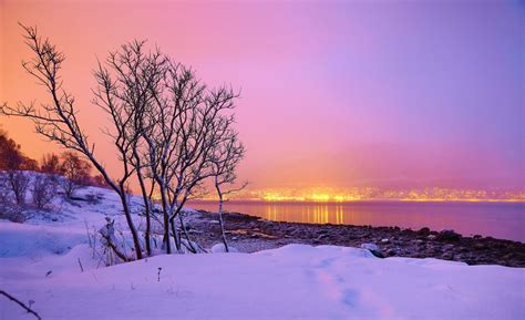 Sunset Winter River Town Trees Landscape Norway Wallpaper